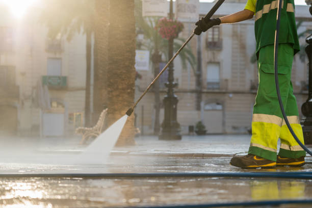 Best Solar Panel Cleaning  in Hammond, IN
